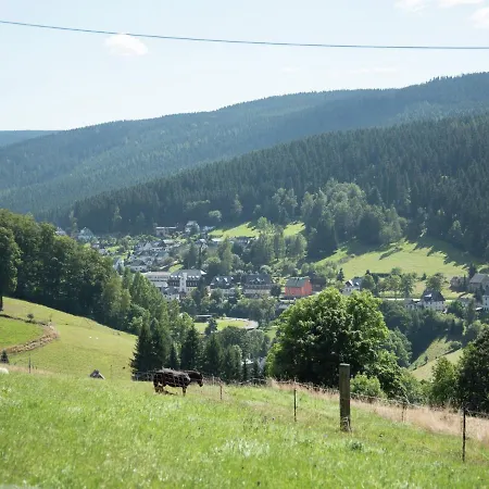 Homey Chalet In Breitenbrunn Rittersgrun Chalet