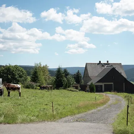 Gemuetliches In Rittersgruen In Waldnaehe ブライテンブルン