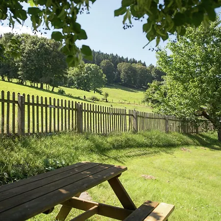 Gemuetliches In Rittersgruen In Waldnaehe