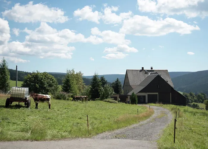 Gemuetliches Chalet In Rittersgruen In Waldnaehe Breitenbrunn (Saxony)