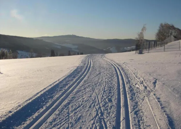 Chalet Gemuetliches Chalet In Rittersgruen In Waldnaehe *