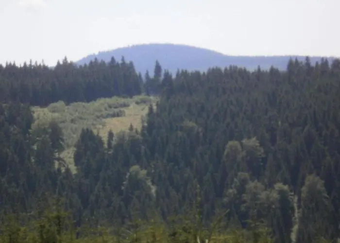 Gemuetliches Chalet In Rittersgruen In Waldnaehe Chalet *