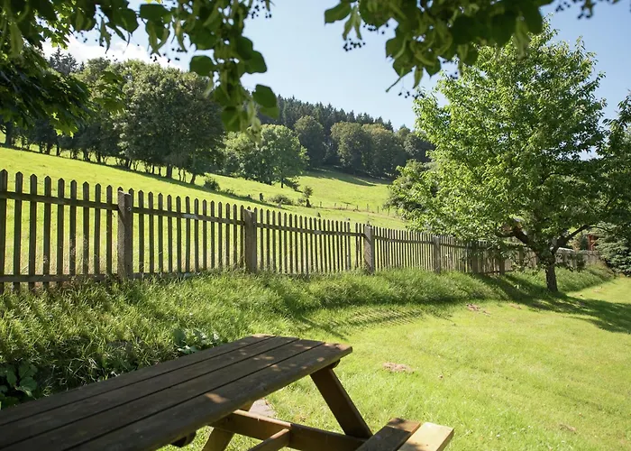 Gemuetliches Chalet In Rittersgruen In Waldnaehe