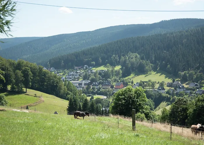 Chalet Gemuetliches Chalet In Rittersgruen In Waldnaehe