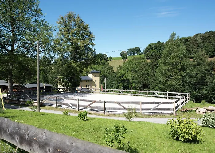 Gemuetliches Chalet In Rittersgruen In Waldnaehe *