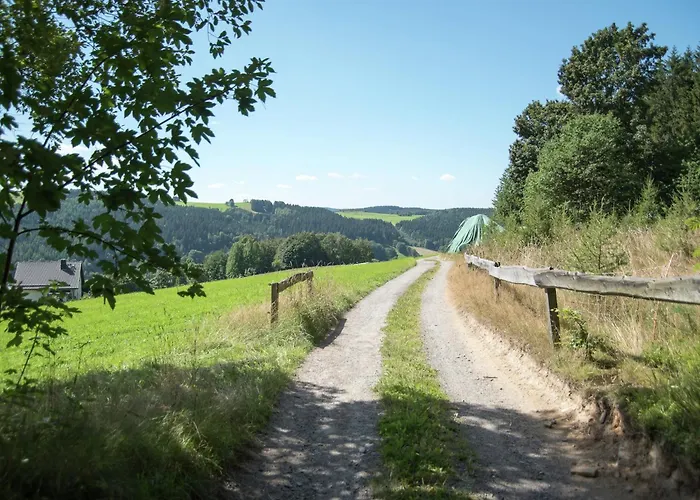 Gemuetliches Chalet In Rittersgruen In Waldnaehe Chalet *
